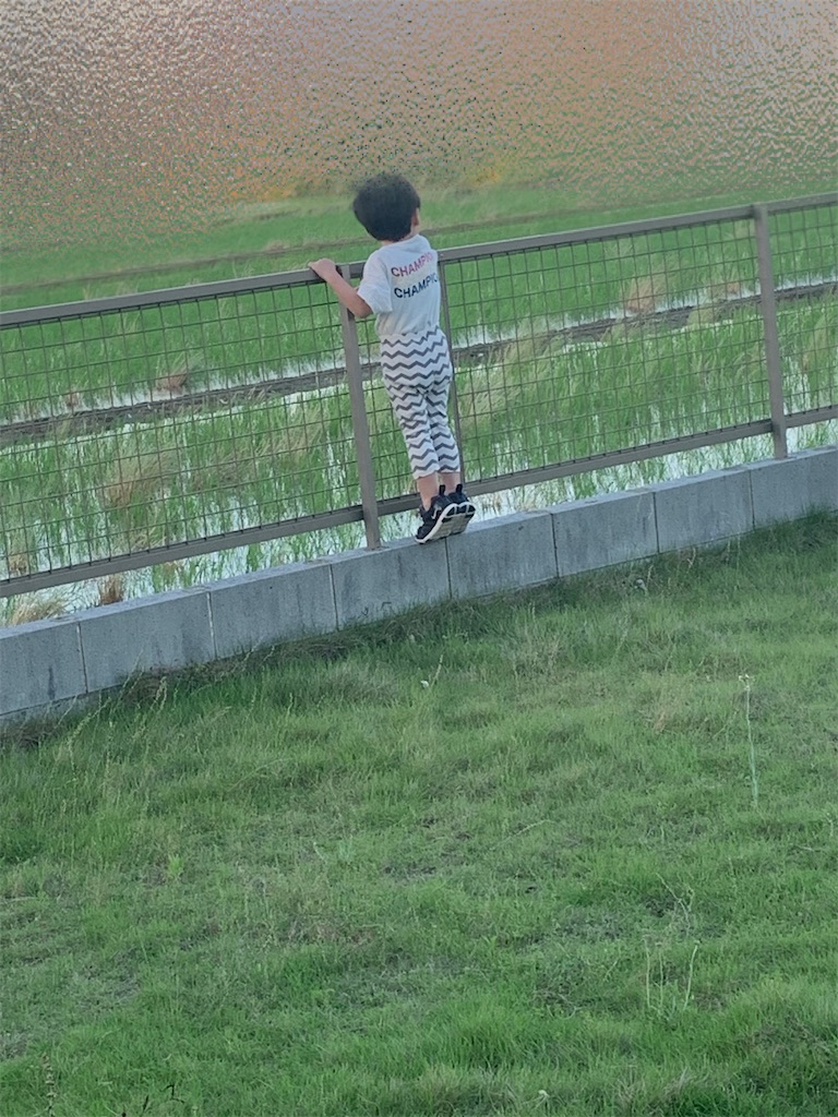 f:id:taruto-rasuku_maaya:20230603220210j:image