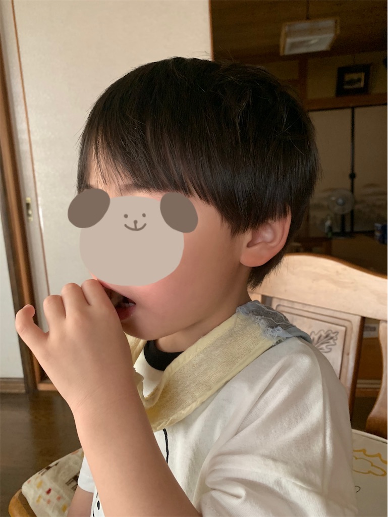 f:id:taruto-rasuku_maaya:20240513204248j:image