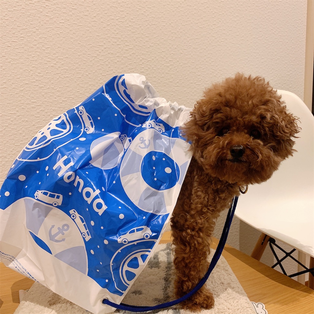 f:id:taruto-rasuku_maaya:20240811204611j:image