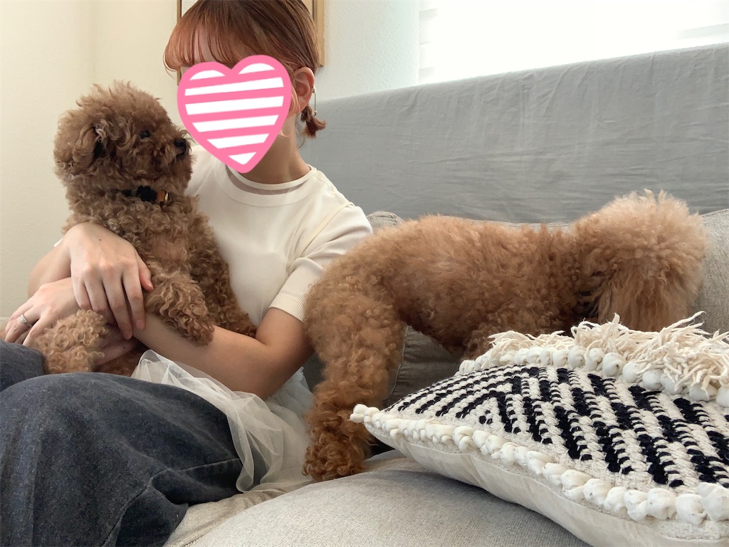 f:id:taruto-rasuku_maaya:20240820155154j:image