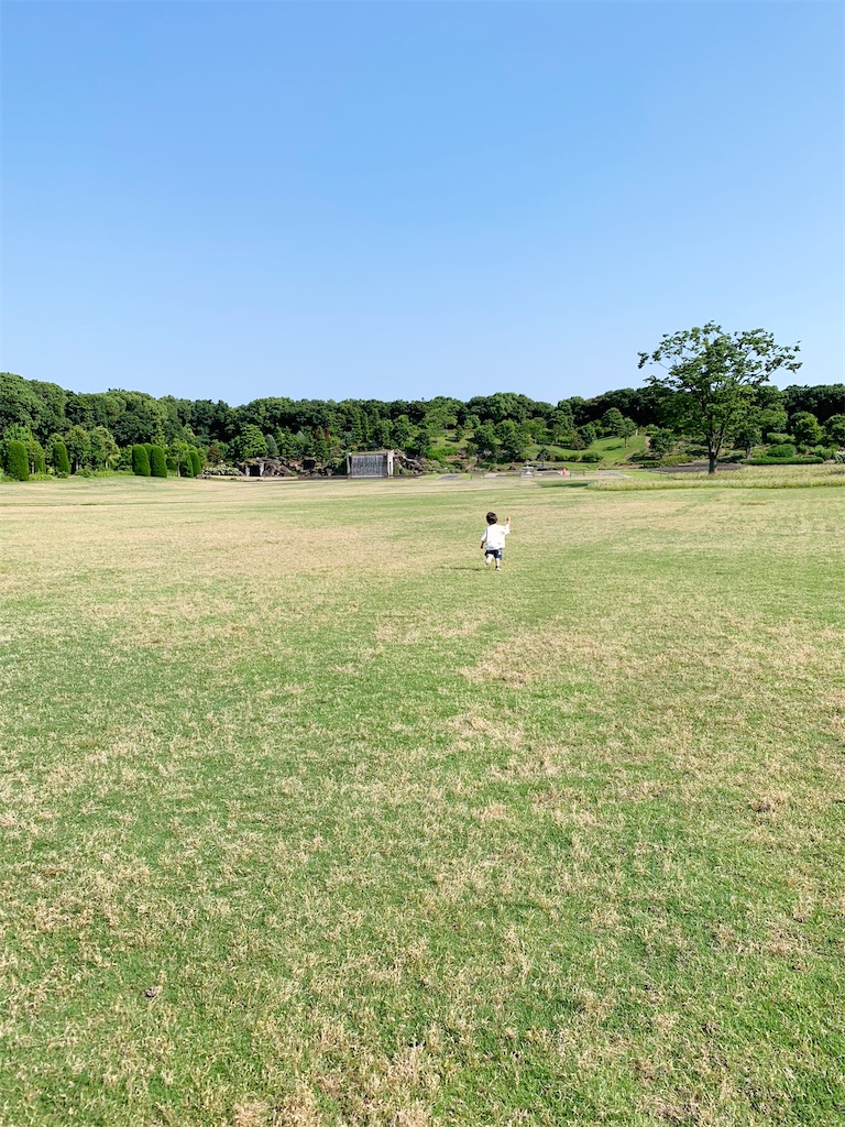 f:id:taruto-rasuku_maaya:20240829131614j:image