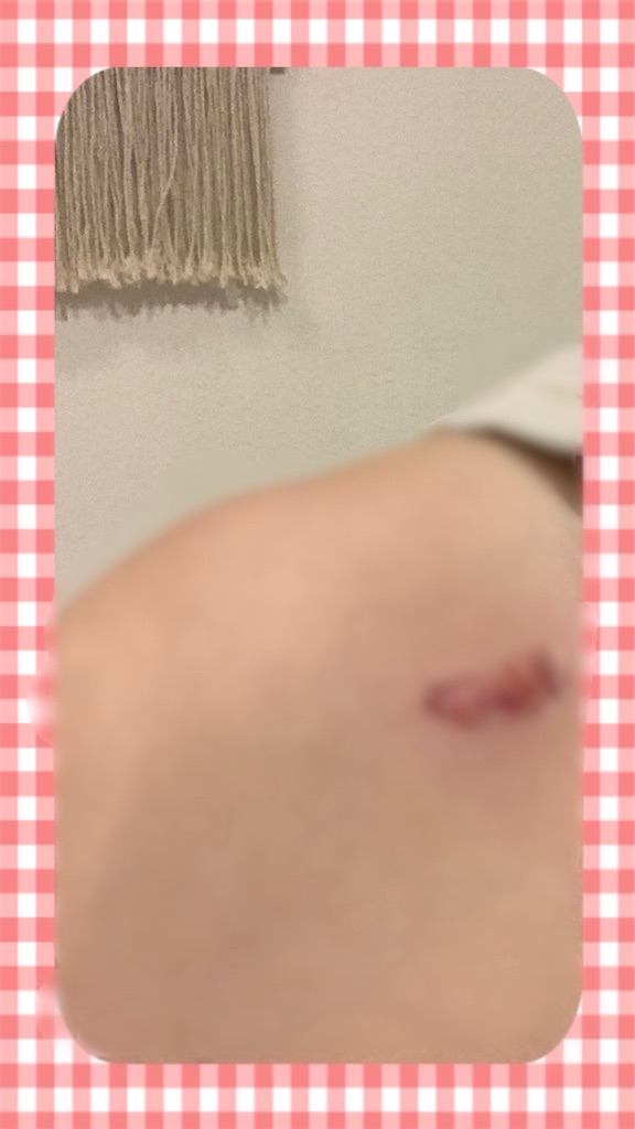 f:id:taruto-rasuku_maaya:20240830213750j:image