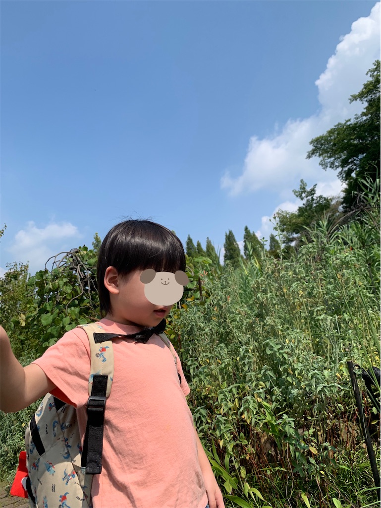 f:id:taruto-rasuku_maaya:20240904222919j:image