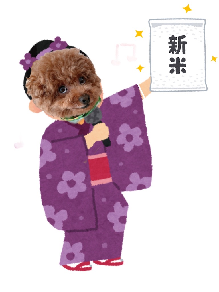 f:id:taruto-rasuku_maaya:20240906222856j:image