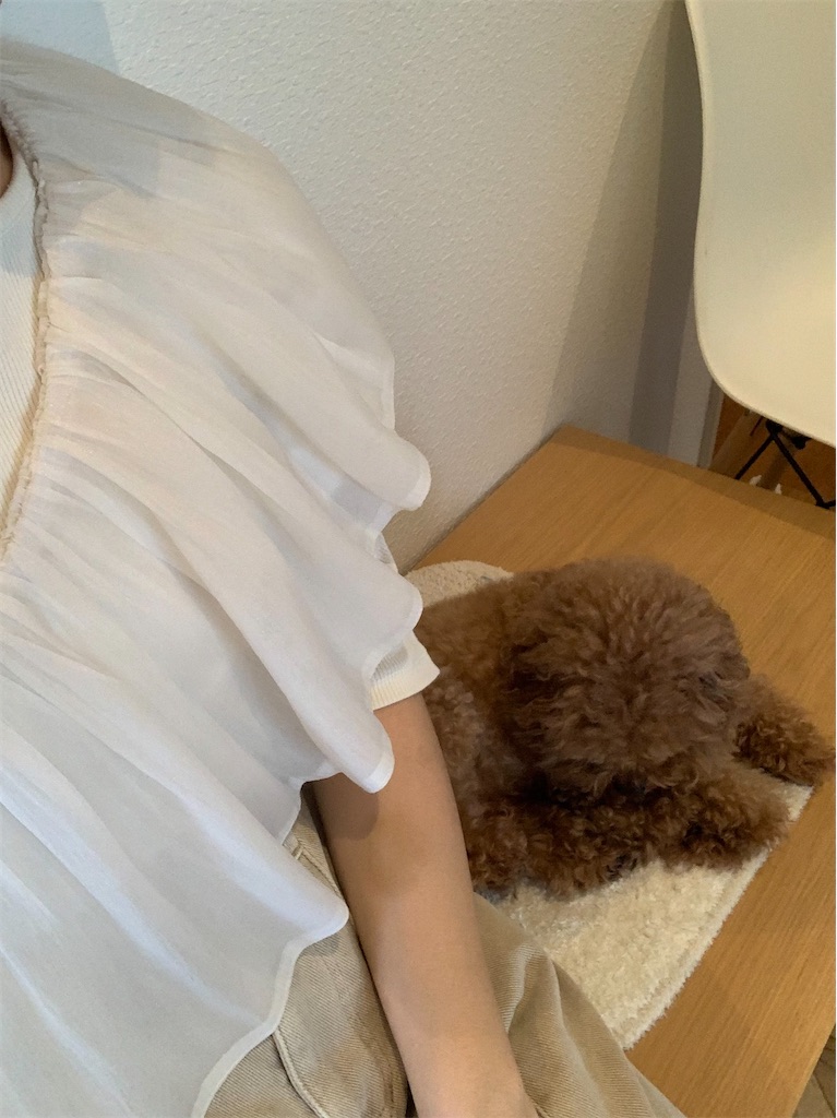 f:id:taruto-rasuku_maaya:20240927202534j:image