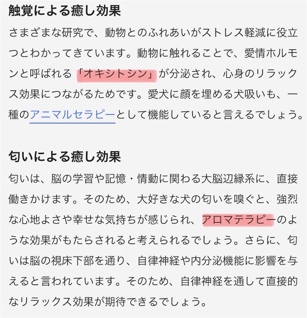 f:id:taruto-rasuku_maaya:20241006222755j:image
