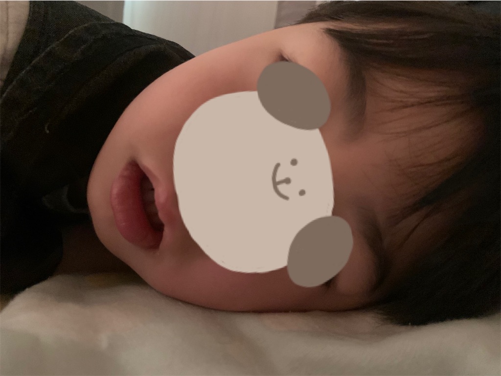 f:id:taruto-rasuku_maaya:20241206130231j:image