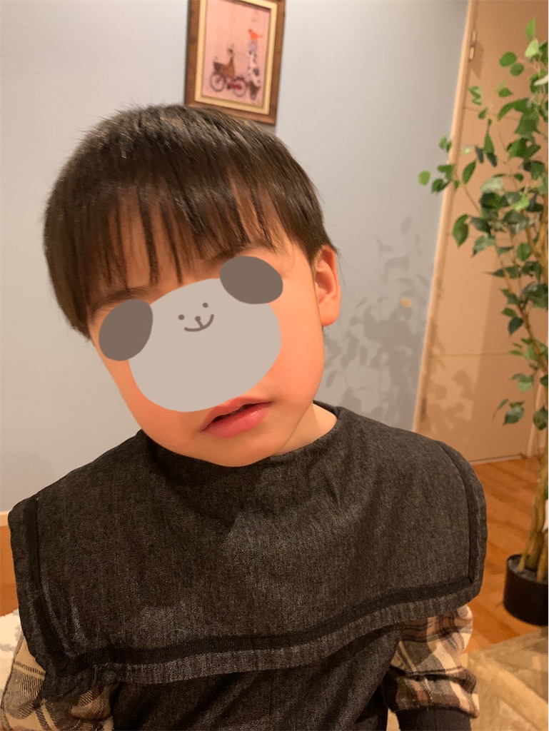 f:id:taruto-rasuku_maaya:20241206174323j:image