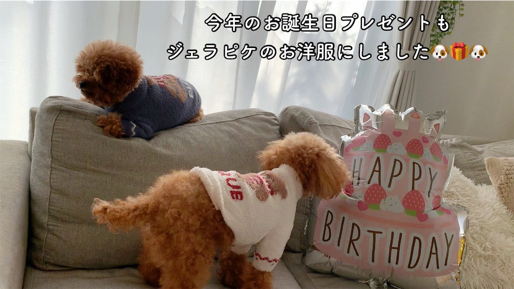 f:id:taruto-rasuku_maaya:20241225161045j:image
