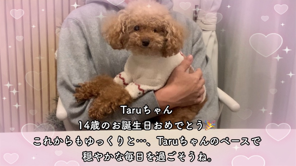 f:id:taruto-rasuku_maaya:20241225174430j:image
