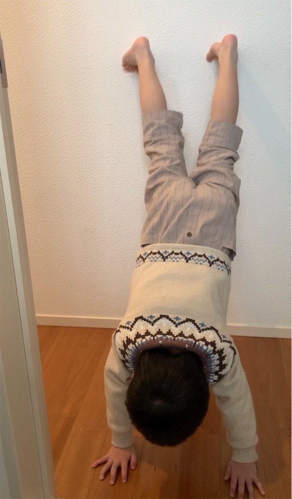f:id:taruto-rasuku_maaya:20241229152106j:image