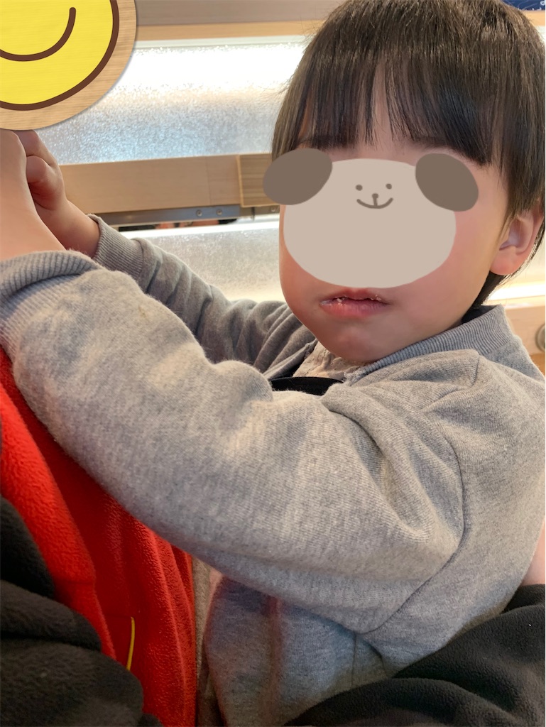 f:id:taruto-rasuku_maaya:20241231201454j:image