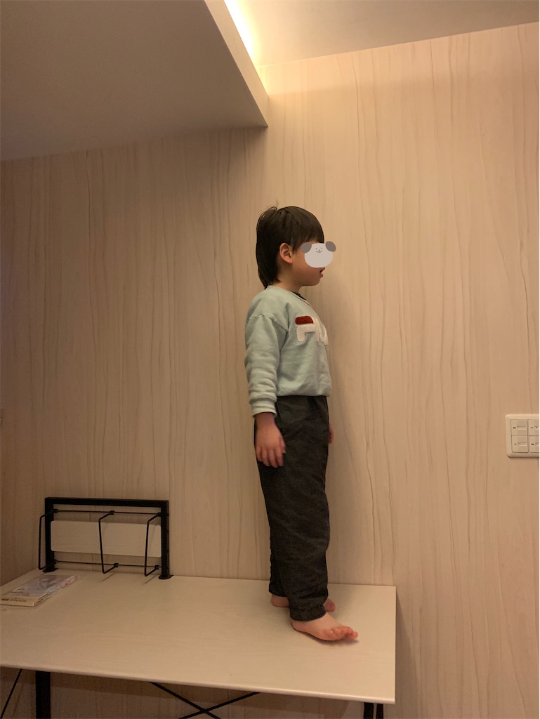f:id:taruto-rasuku_maaya:20250213195728j:image