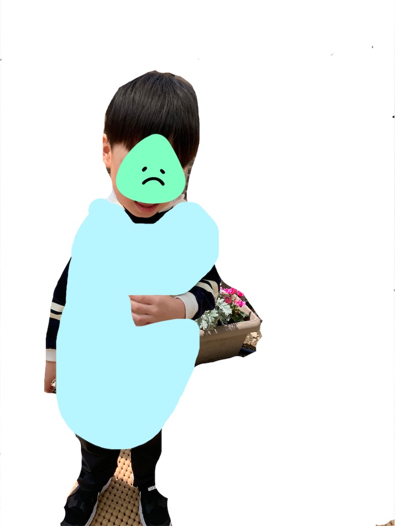 f:id:taruto-rasuku_maaya:20250409184838j:image