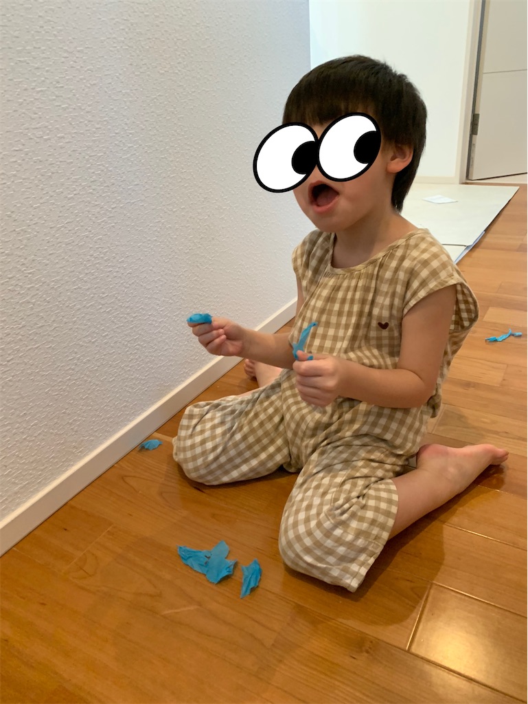 f:id:taruto-rasuku_maaya:20250605213858j:image