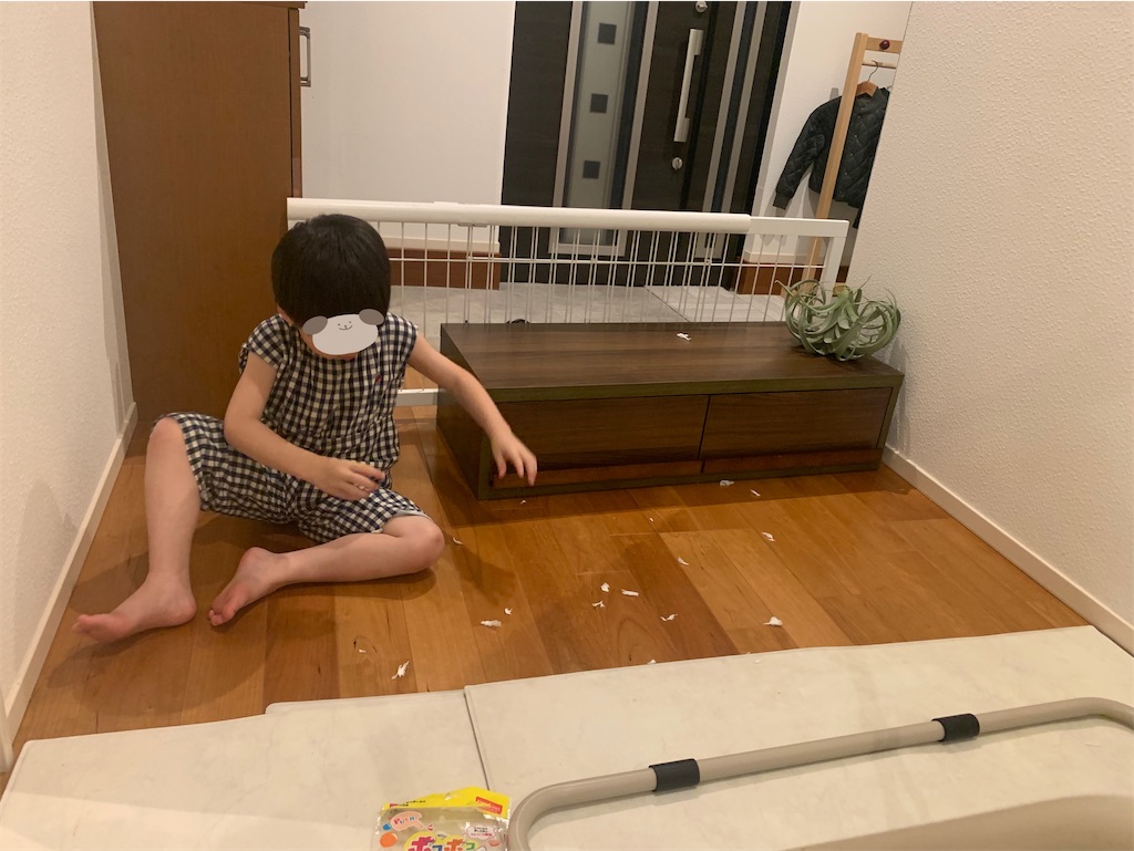 f:id:taruto-rasuku_maaya:20250605213902j:image