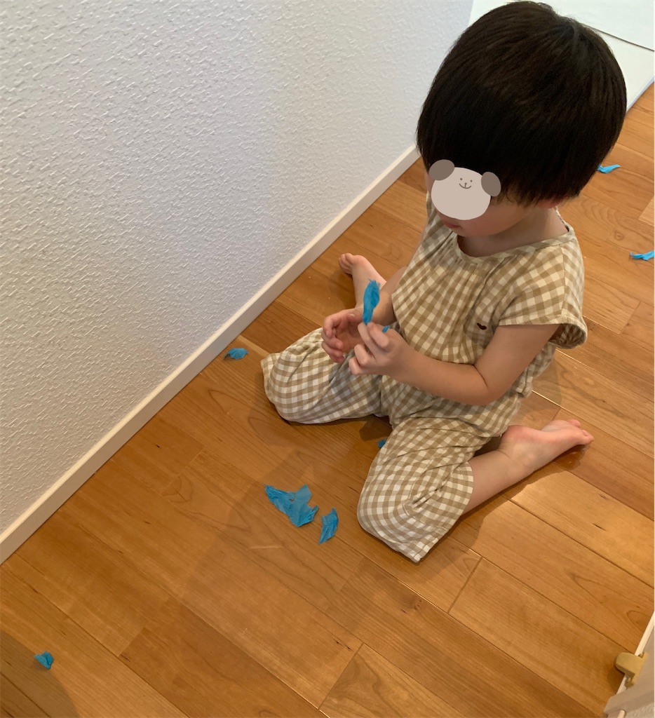 f:id:taruto-rasuku_maaya:20250605213906j:image