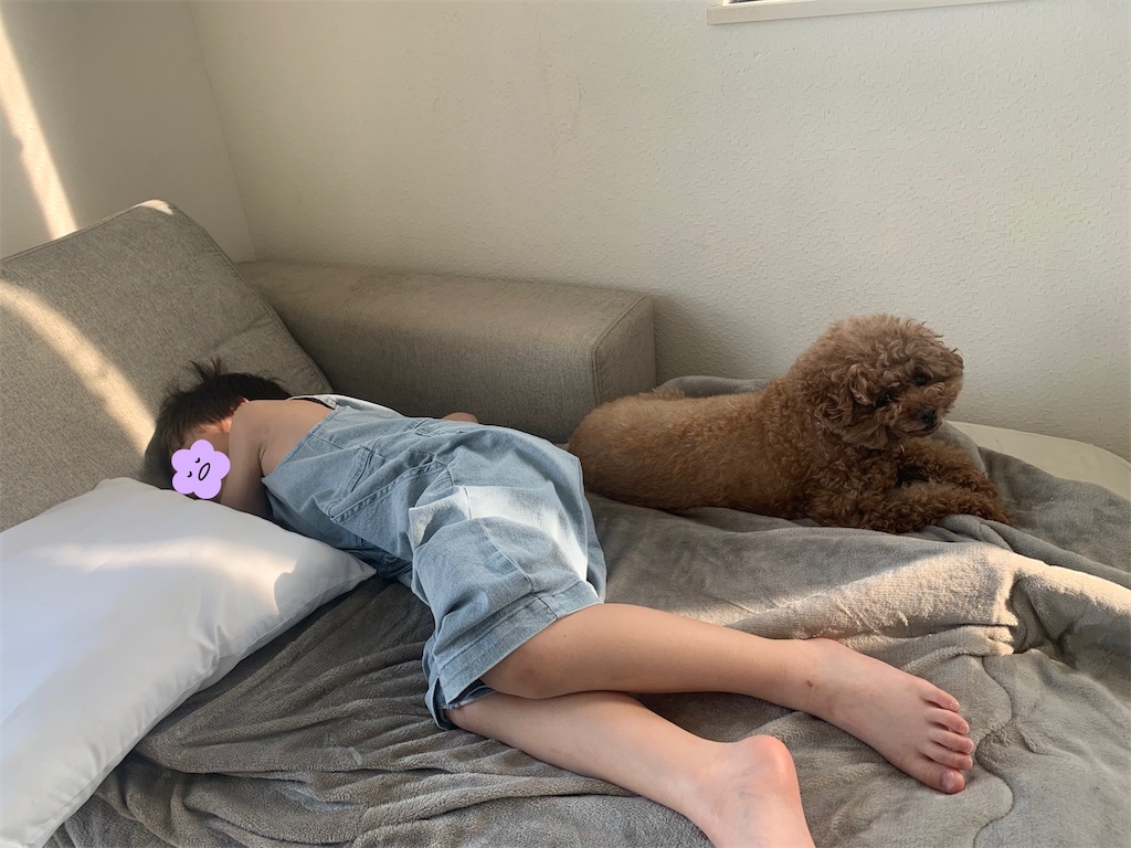 f:id:taruto-rasuku_maaya:20250618142503j:image
