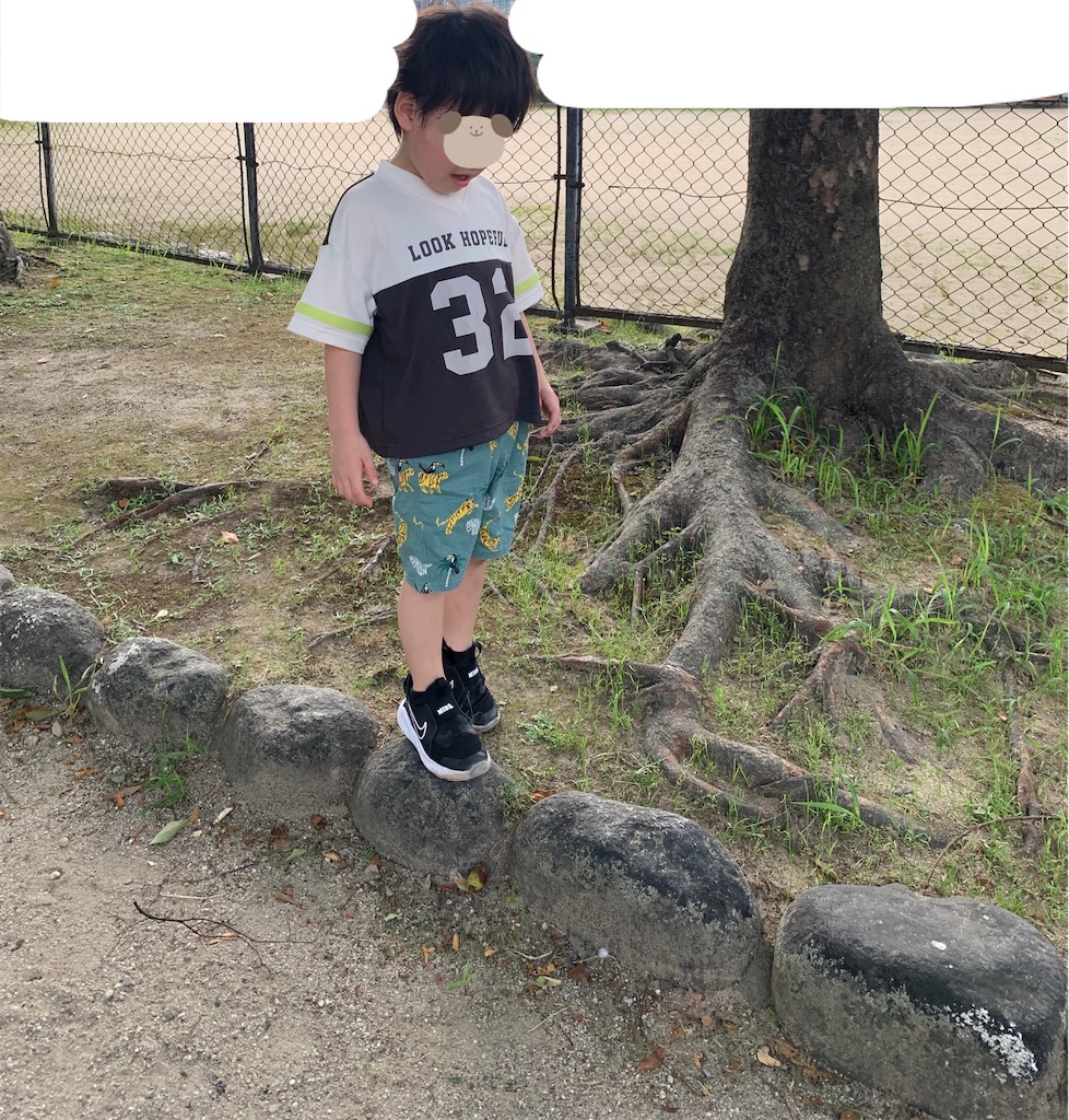 f:id:taruto-rasuku_maaya:20250627100830j:image