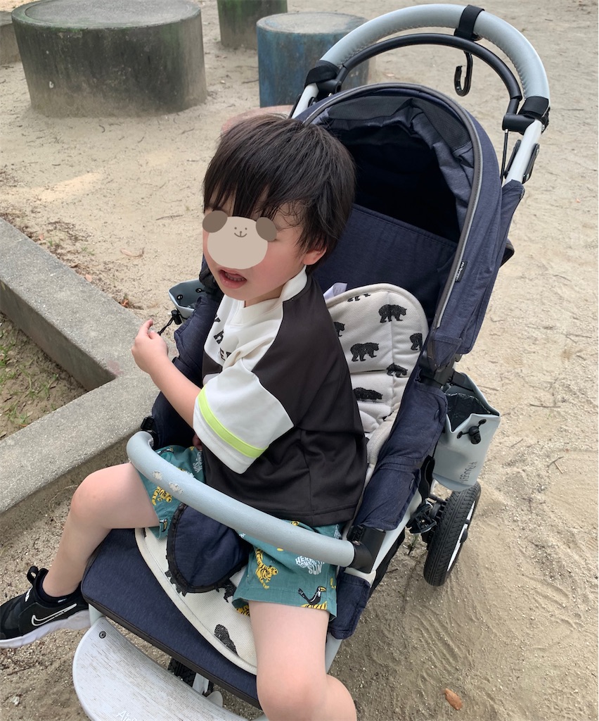 f:id:taruto-rasuku_maaya:20250627100833j:image