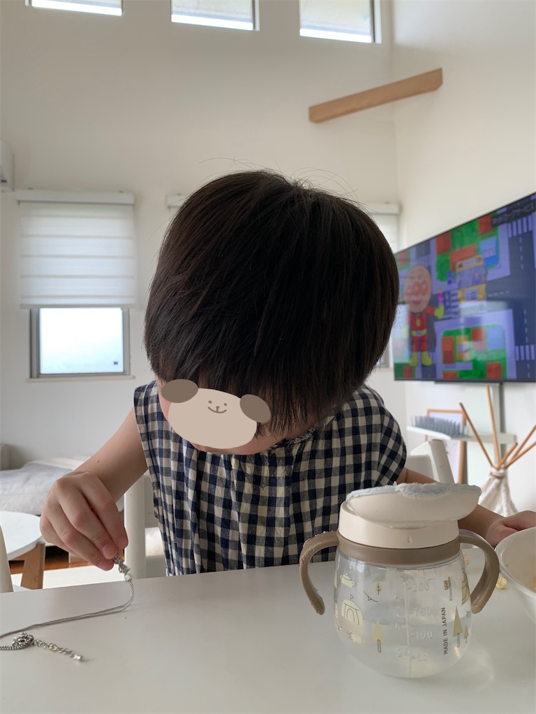 f:id:taruto-rasuku_maaya:20250709231453j:image