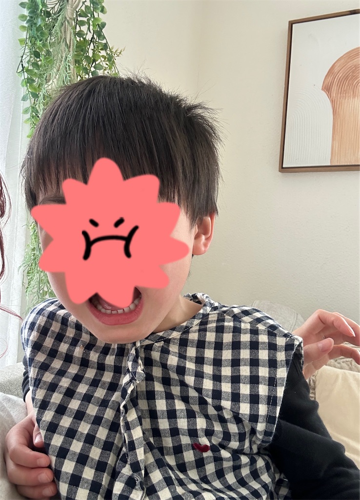 f:id:taruto-rasuku_maaya:20260310211046j:image