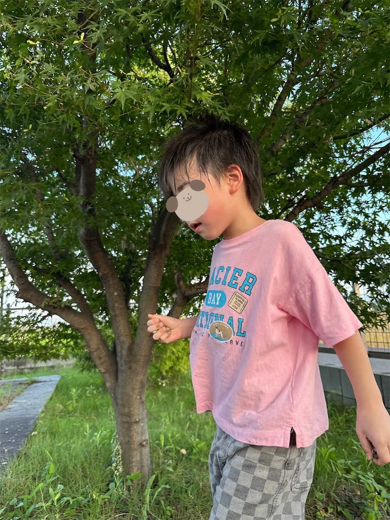 f:id:taruto-rasuku_maaya:20260721213217j:image