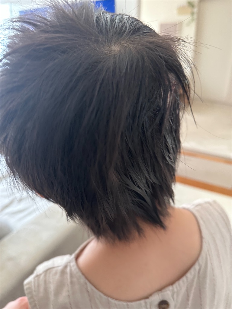 f:id:taruto-rasuku_maaya:20260809093038j:image