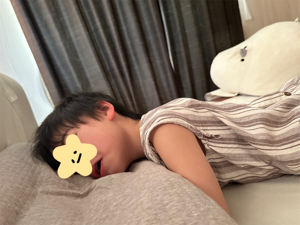 f:id:taruto-rasuku_maaya:20260821090623j:image