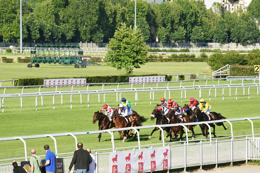 f:id:taruyuki:20190806113000j:plain