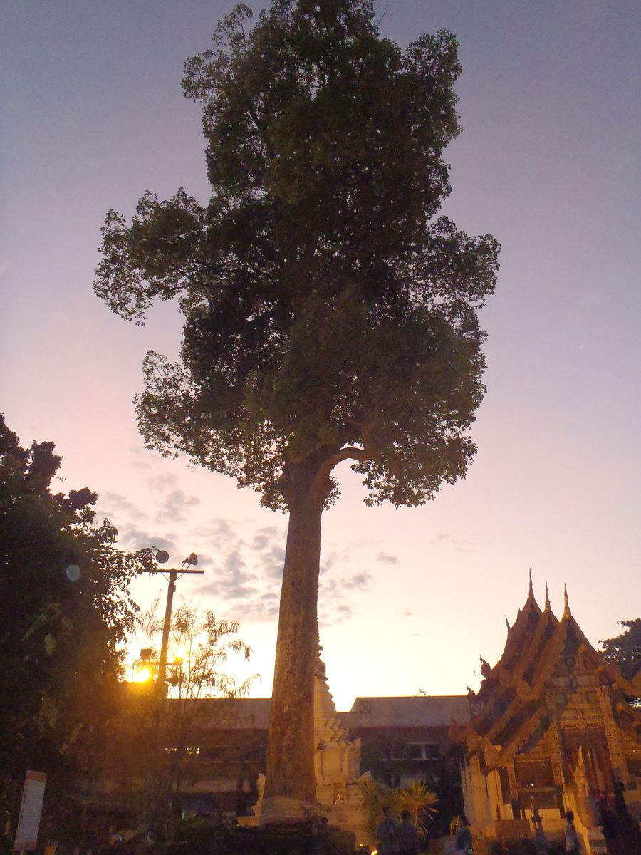 f:id:tasamin:20210430145532j:plain