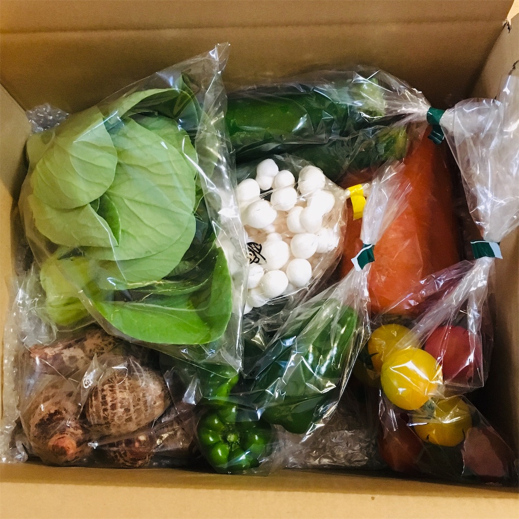【ふるさと納税】2019年返礼品 宮崎県新富町 野菜ソムリエが選ぶ野菜セット ふるさと納税日記 【ふるさと納税】2019年返礼品 宮崎県新富町 野菜ソムリエが選ぶ野菜セット ふるさと納税日記