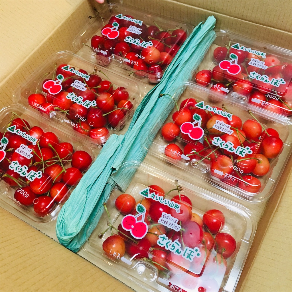 【ふるさと納税】2019年返礼品 山形県上山市 さくらんぼ佐藤錦 1.2kg ふるさと納税日記