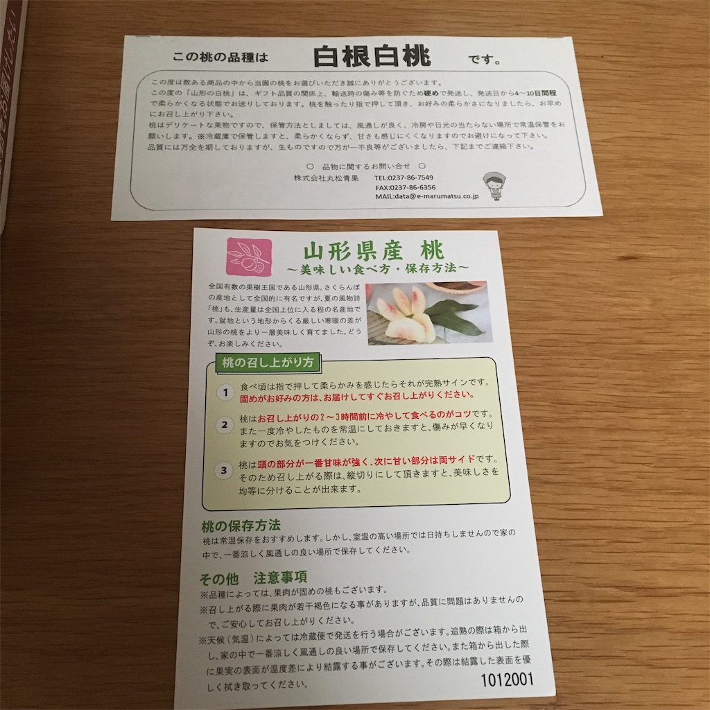 【ふるさと納税】2019年返礼品 山形県寒河江市 白根白桃 3kg 11玉 ふるさと納税日記