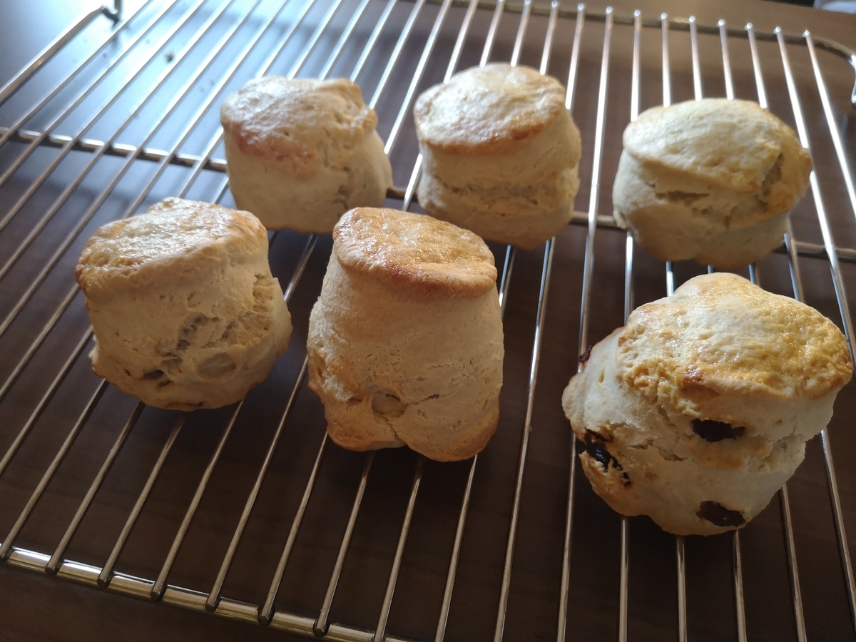 f:id:tash-tsubo:20200721041900j:plain