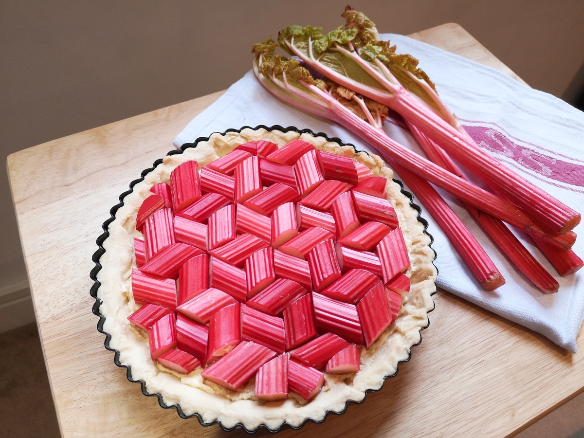 f:id:tash-tsubo:20210207205923j:plain