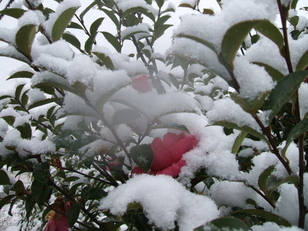 f:id:tasigi:20080209122551j:image:w350