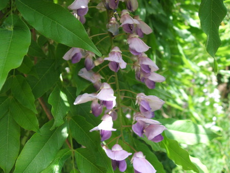 f:id:tasigi:20080507200708j:image:w350