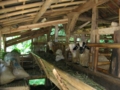 20100409123758