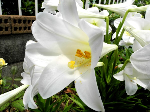 f:id:tasogare30:20120624103541j:image f:id:tasogare30:20120624103541j:image