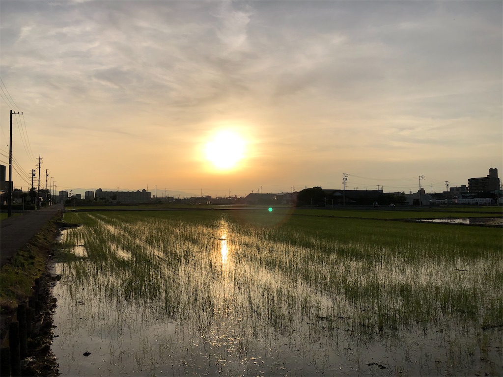 f:id:tasogaredokusyo:20230818164937j:image