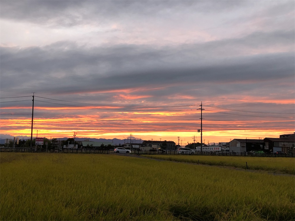 f:id:tasogaredokusyo:20250213064452j:image