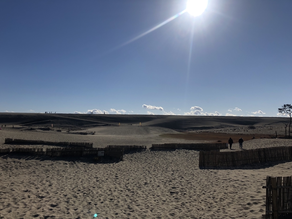 f:id:tasotasomeso:20181230141924j:plain