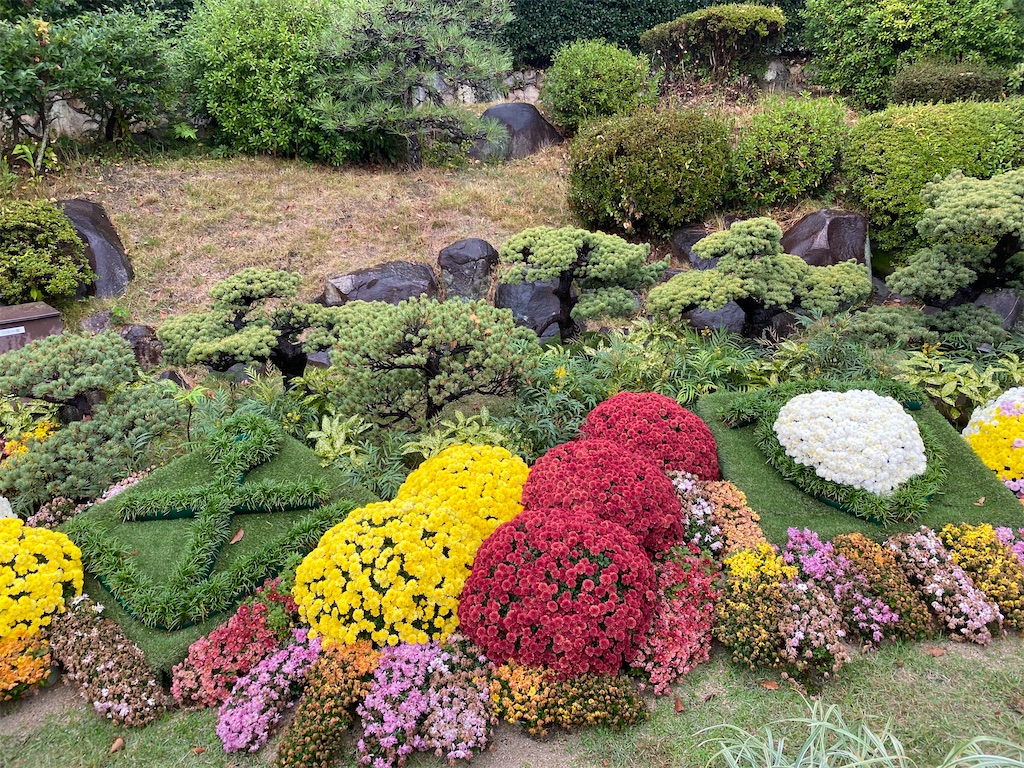 f:id:tassel8:20231112153751j:image