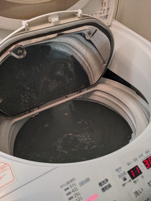 丹羽久の過炭酸ナトリウムで洗濯槽の掃除をした結果 はなみずきのタスカジおかたづけ 丹羽久の過炭酸ナトリウムで洗濯槽の掃除をした結果 はなみずきのタスカジおかたづけ