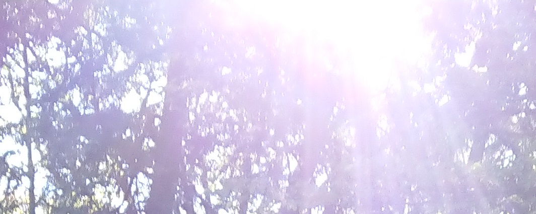 f:id:tasukeikari:20190401043824j:plain f:id:tasukeikari:20190401043824j:plain