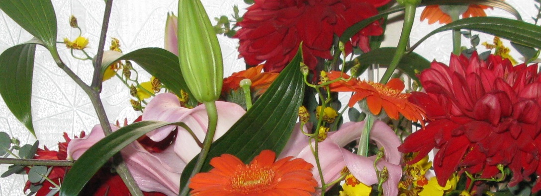 f:id:tasukeikari:20190410085120j:plain f:id:tasukeikari:20190410085120j:plain