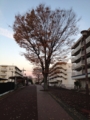 20121125162656