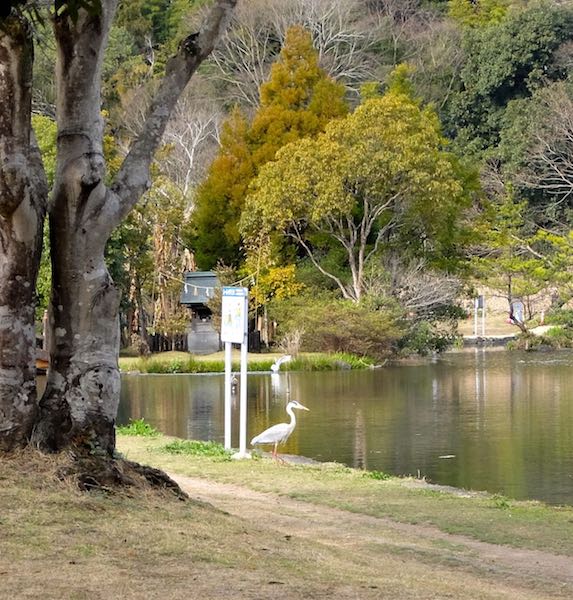 f:id:tasunosuke:20180312205015j:plain