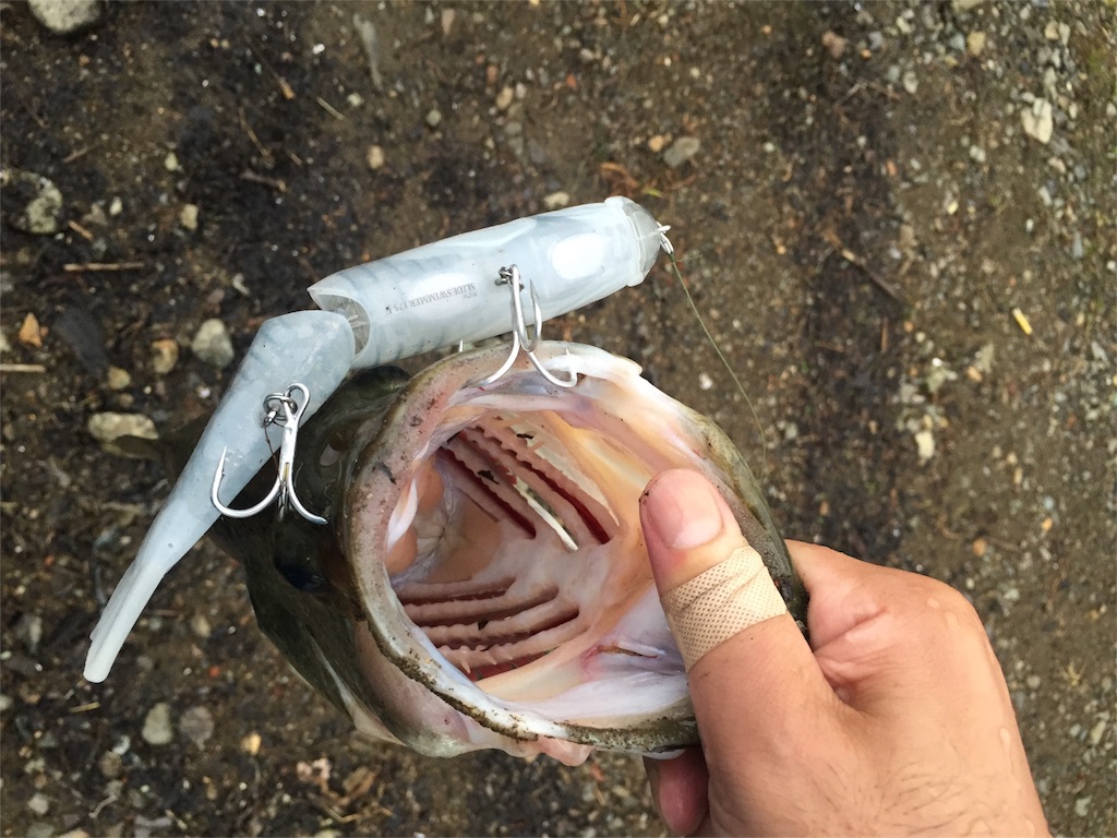 f:id:tasyumin:20160727105336j:image